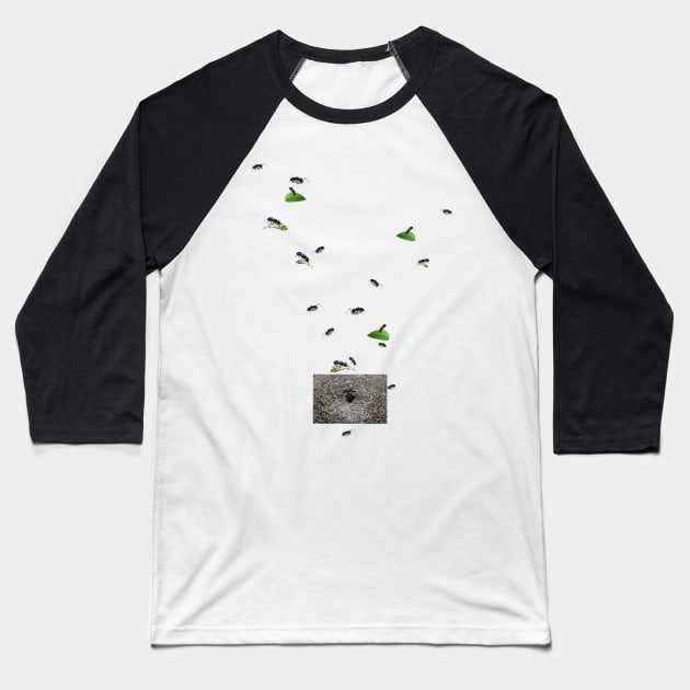 Ants go home Baseball T-Shirt by Sereniya